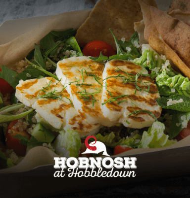 Hobnosh