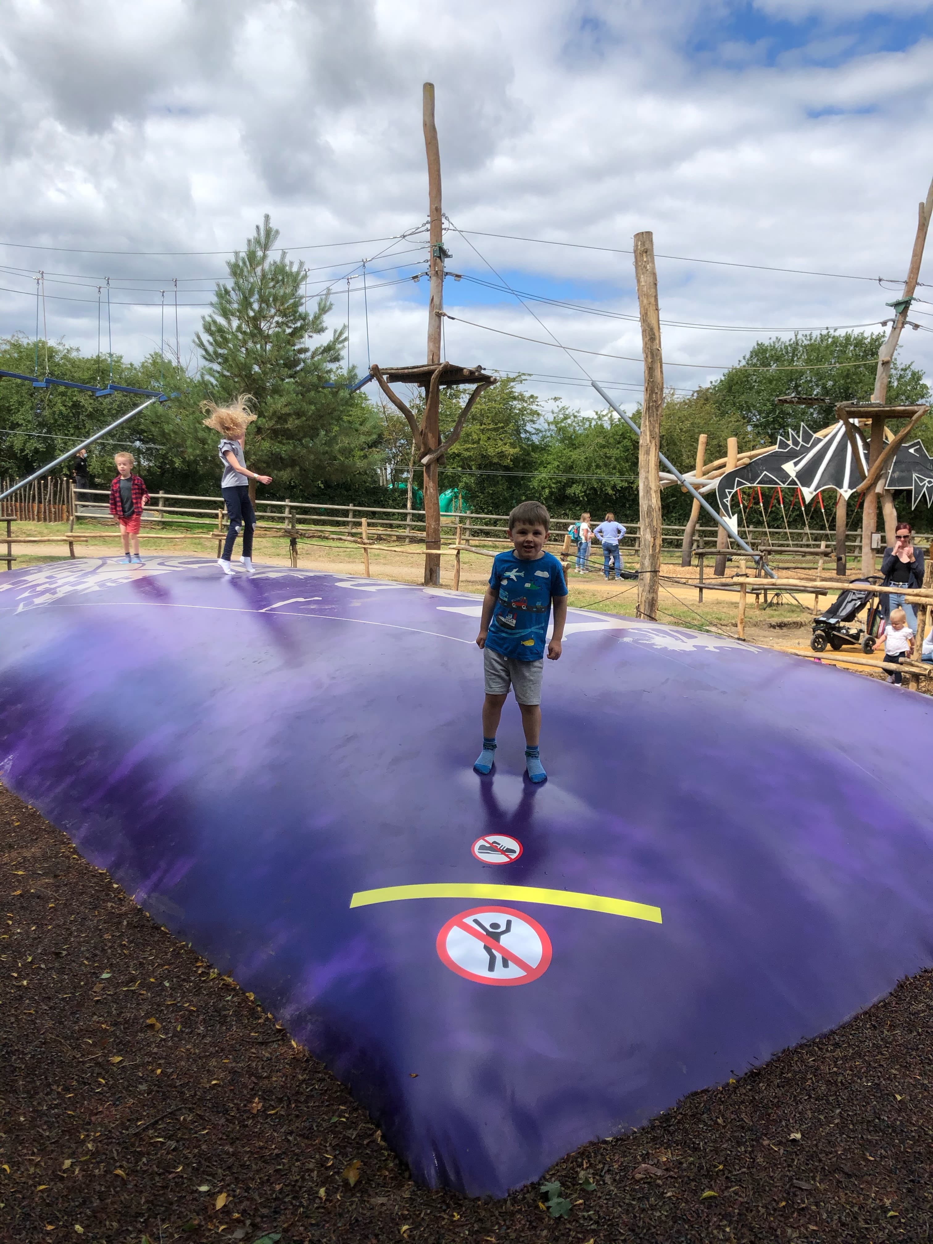 Purple Jumping Pillow